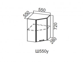 Ш550у/720 Шкаф навесной 550/720 (угловой) в Пласте - plast.магазин96.com | фото