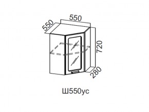 Ш550ус/720 Шкаф навесной 550/720 (угловой со стеклом) в Пласте - plast.магазин96.com | фото