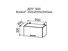 Шкаф верхний ДПГ500 горизонтальный в Пласте - plast.магазин96.com | фото
