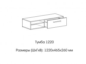 Тумба 1220 (низкая) в Пласте - plast.магазин96.com | фото