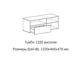 Тумба 1220 (высокая) в Пласте - plast.магазин96.com | фото